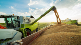 Мировые цены на пшеницу поднялись до максимальных за 14 лет   